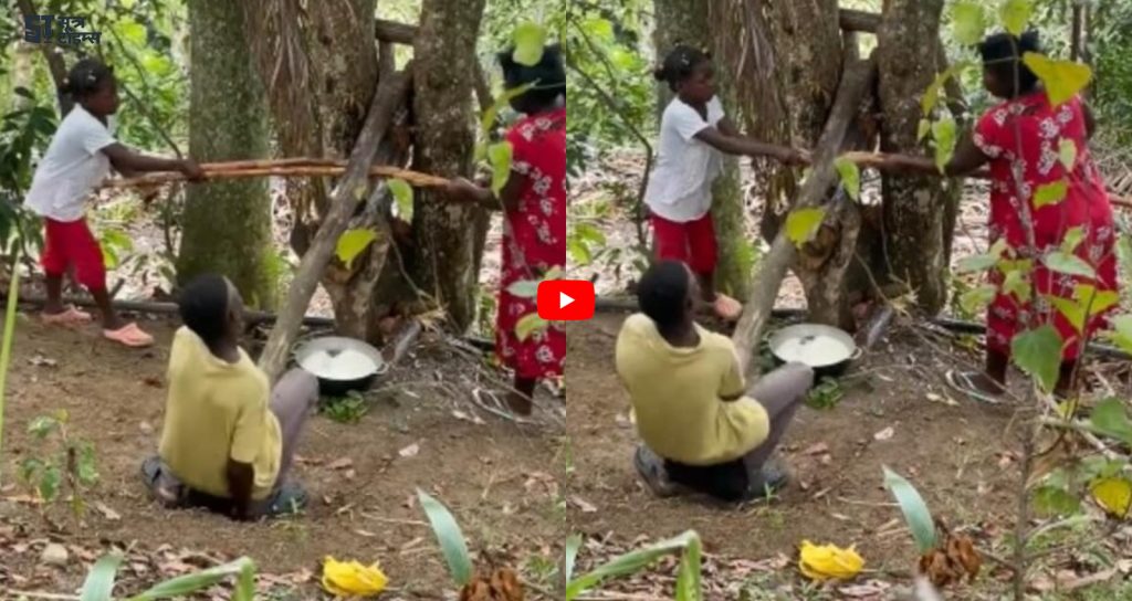 Such a technique to extract sugarcane juice