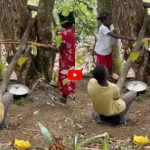 Such a technique to extract sugarcane juice