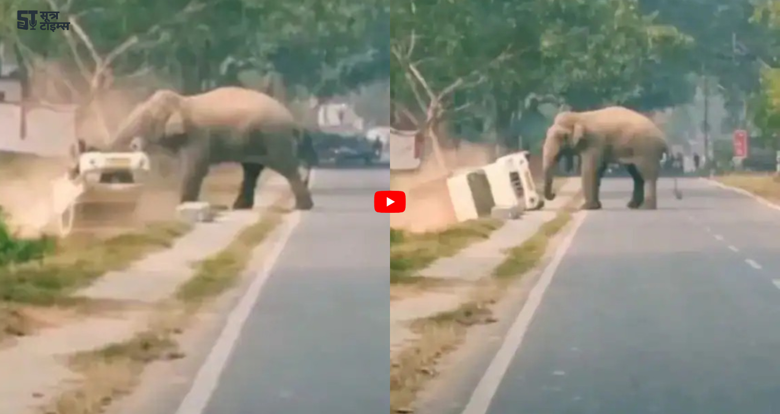 Elephant Ka video