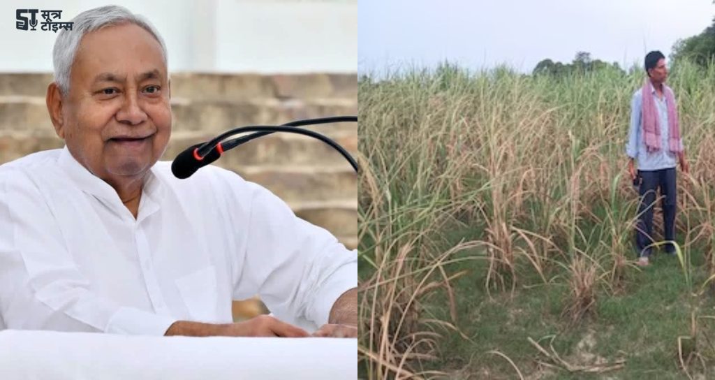 Bihar Cabinet Meeting