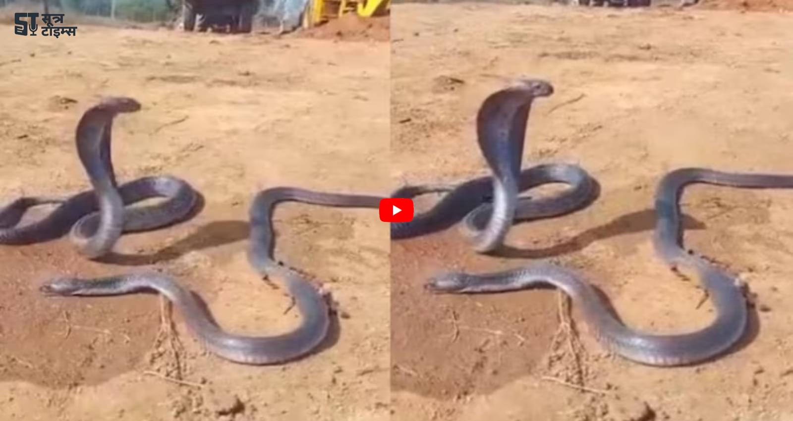 Naag-Nagin ka Video