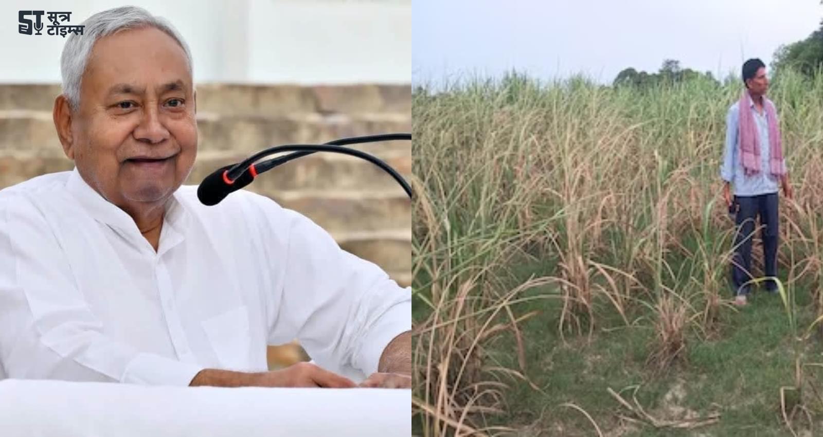 Bihar Cabinet Meeting